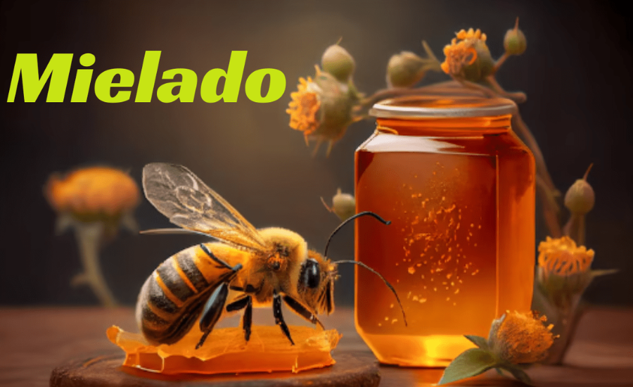 Discover the Sweet Magic of Mielado
